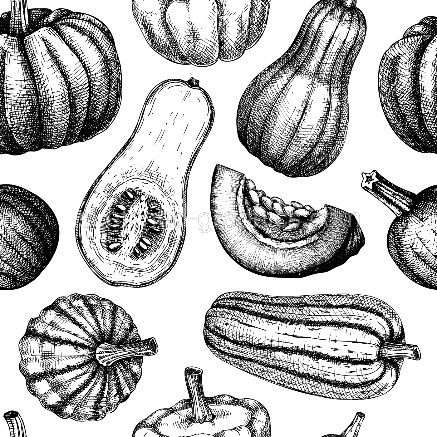 Sketched pumpkin seamless pattern. Thanksgiving day wall design. Autumn food background. Vector vegetables, butternut squash, marrow, pumpkin slice sketches. Fall harvest festival backdrop Illustration